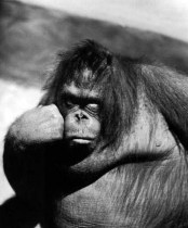 uffa-sono-stufo-di-aspettare-che-si-trucchi-per-uscire