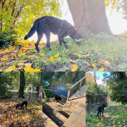 Pontili Aniene III Municipio