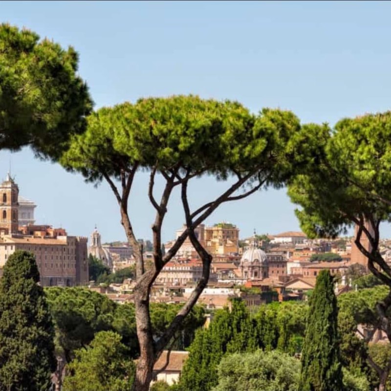 Il verde di&nbsp;Roma